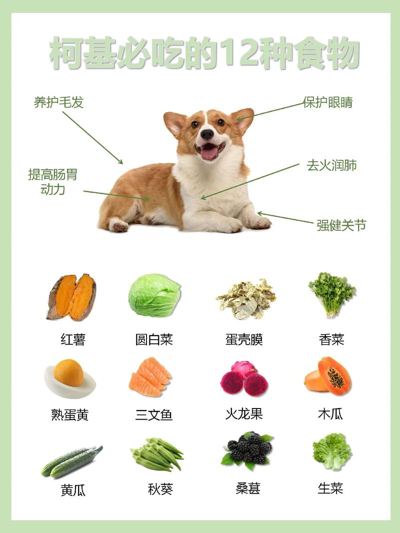 狗狗能吃大闸蟹吗,狗狗能吃大闸蟹吗有毒吗-第5张图片-后鲨宠物 狗狗能吃大闸蟹吗,狗狗能吃大闸蟹吗有毒吗-第5张图片-后鲨宠物