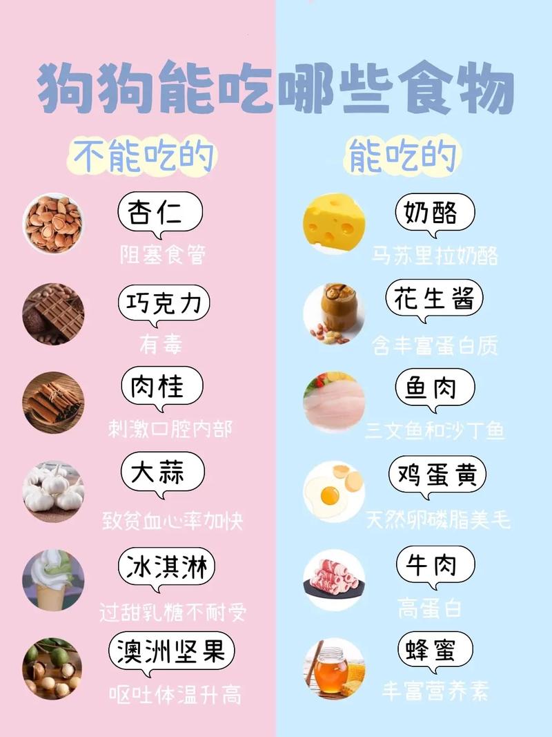 氟哌酸狗狗能吃吗_氟哌酸狗狗能吃吗有毒吗-第1张图片-后鲨宠物 氟哌酸狗狗能吃吗_氟哌酸狗狗能吃吗有毒吗-第1张图片-后鲨宠物