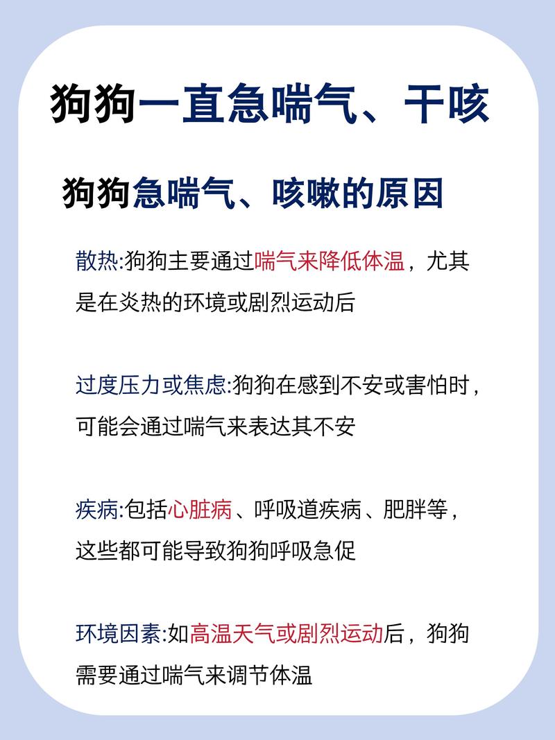 狗狗喘粗气怎么回事,狗喘气粗重的原因-第3张图片-后鲨宠物 狗狗喘粗气怎么回事,狗喘气粗重的原因-第3张图片-后鲨宠物
