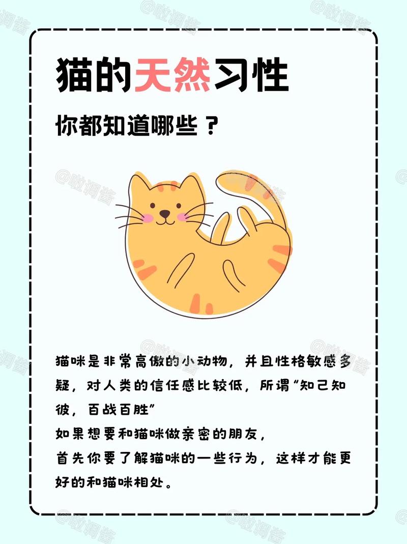 猫咪的生活习性_猫的习性-第5张图片-后鲨宠物