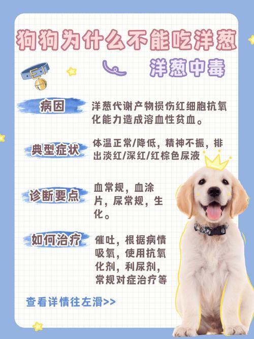 百合花对狗狗有害吗,百合花小狗吃了会中毒吗?-第3张图片-后鲨宠物 百合花对狗狗有害吗,百合花小狗吃了会中毒吗?-第3张图片-后鲨宠物