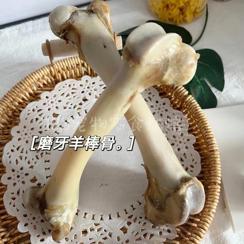 狗狗可以吃牛骨头吗,宠物狗可以吃牛骨头吗?-第4张图片-后鲨宠物 狗狗可以吃牛骨头吗,宠物狗可以吃牛骨头吗?-第4张图片-后鲨宠物