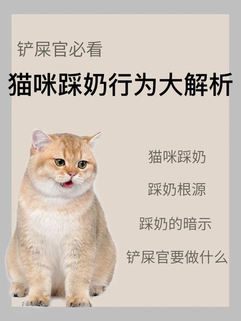 猫咪都会踩奶吗，猫咪会踩奶其实是一件悲惨的事情？