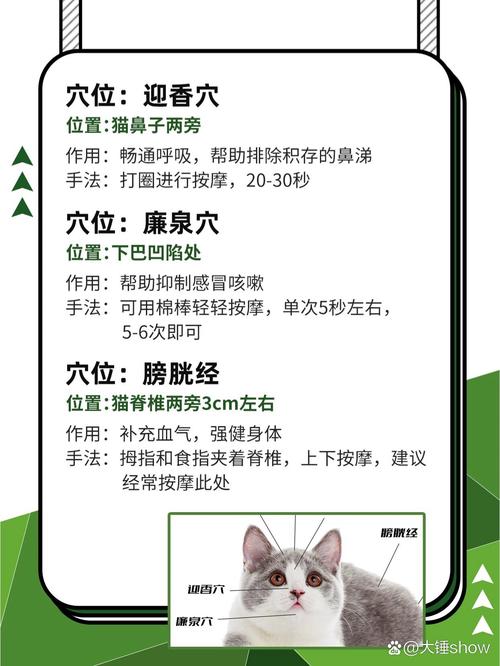 猫咪都会踩奶吗,猫咪会踩奶其实是一件悲惨的事情?-第2张图片-后鲨宠物 猫咪都会踩奶吗,猫咪会踩奶其实是一件悲惨的事情?-第2张图片-后鲨宠物