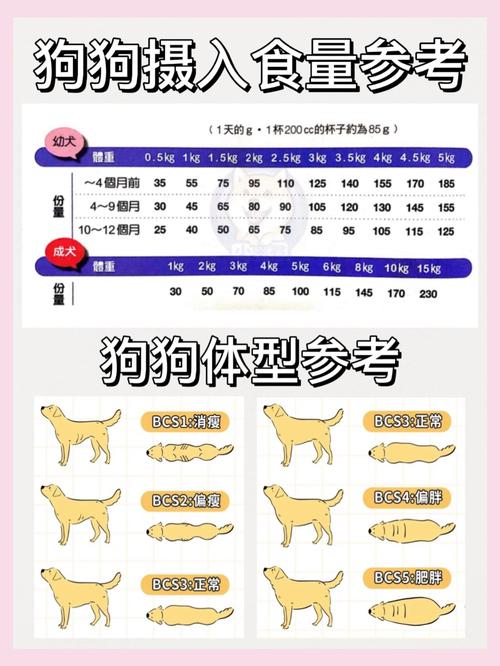 六个月狗狗一天喂几次_六个月狗狗一天喂几次水喝