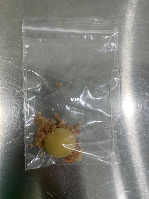 狗狗膀胱结石术后护理,狗膀胱结石术后饮食菜谱?-第5张图片-后鲨宠物 狗狗膀胱结石术后护理,狗膀胱结石术后饮食菜谱?-第5张图片-后鲨宠物