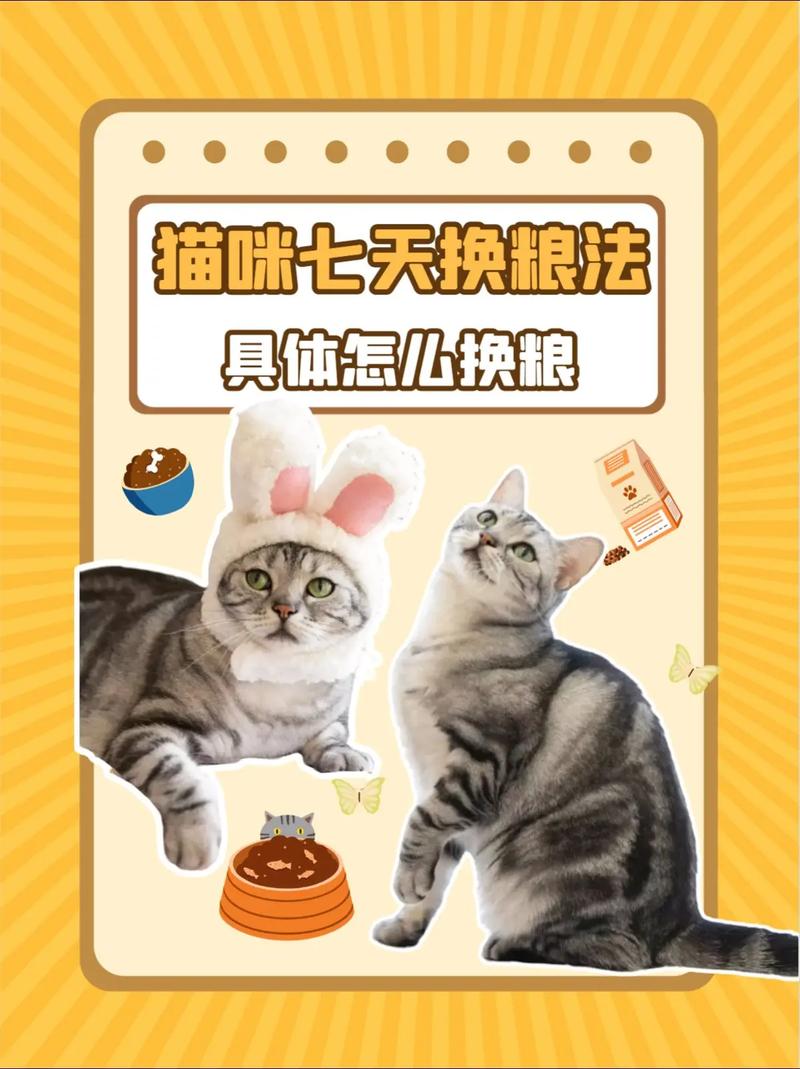 猫咪七日换粮法_猫咪七日换粮法怎么喂-第5张图片-后鲨宠物