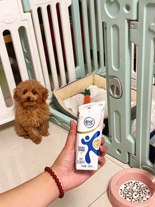 狗狗能吃牛奶吗_狗狗可不可以吃牛奶-第4张图片-后鲨宠物 狗狗能吃牛奶吗_狗狗可不可以吃牛奶-第4张图片-后鲨宠物