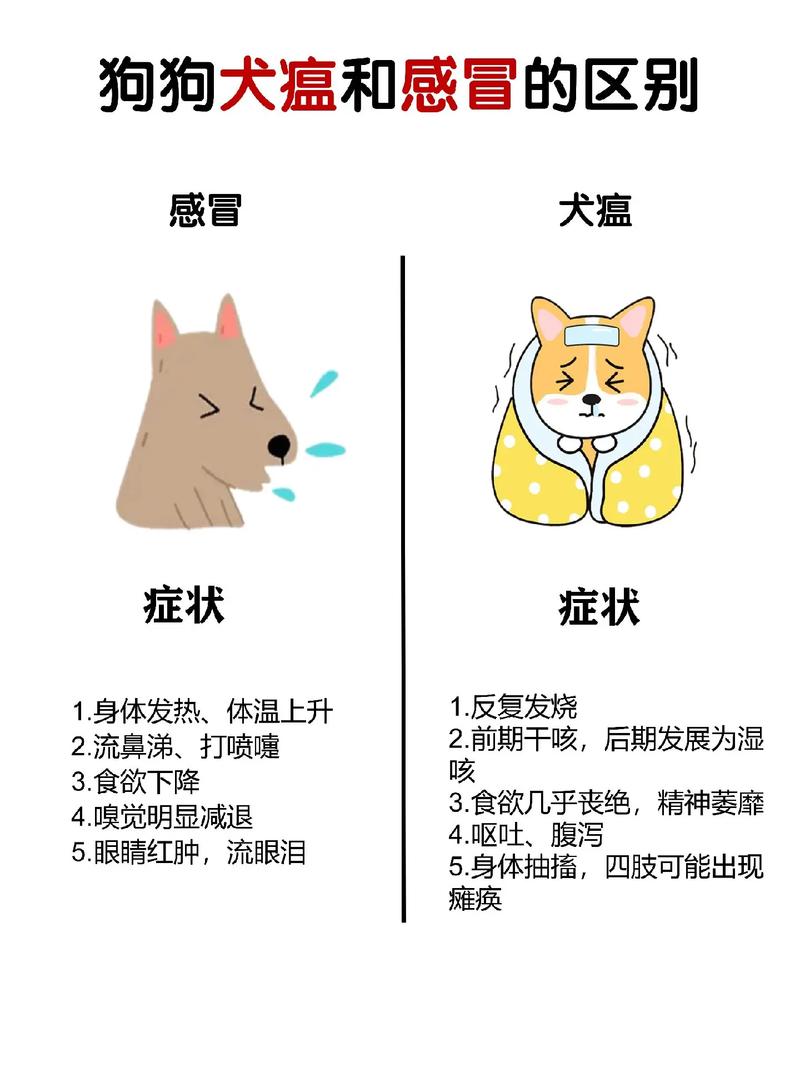 狗狗得犬瘟的症状,小狗犬瘟初期症状是什么症状?-第5张图片-后鲨宠物 狗狗得犬瘟的症状,小狗犬瘟初期症状是什么症状?-第5张图片-后鲨宠物