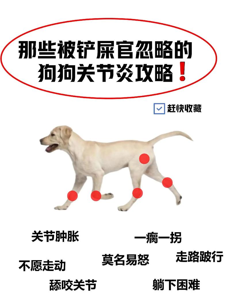 狗狗韧带断裂能自愈吗，狗狗韧带断裂能自愈吗多久？-第1张图片-后鲨宠物