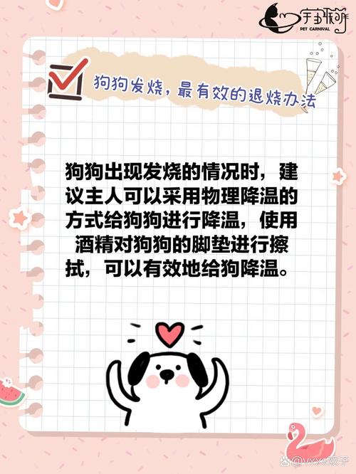 怎么给狗狗退烧,怎么给狗狗退烧快?-第5张图片-后鲨宠物 怎么给狗狗退烧,怎么给狗狗退烧快?-第5张图片-后鲨宠物