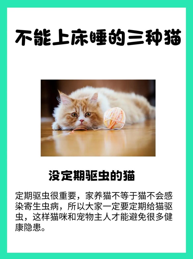 猫咪不爱睡猫窝，猫不愿睡猫窝？-第3张图片-后鲨宠物