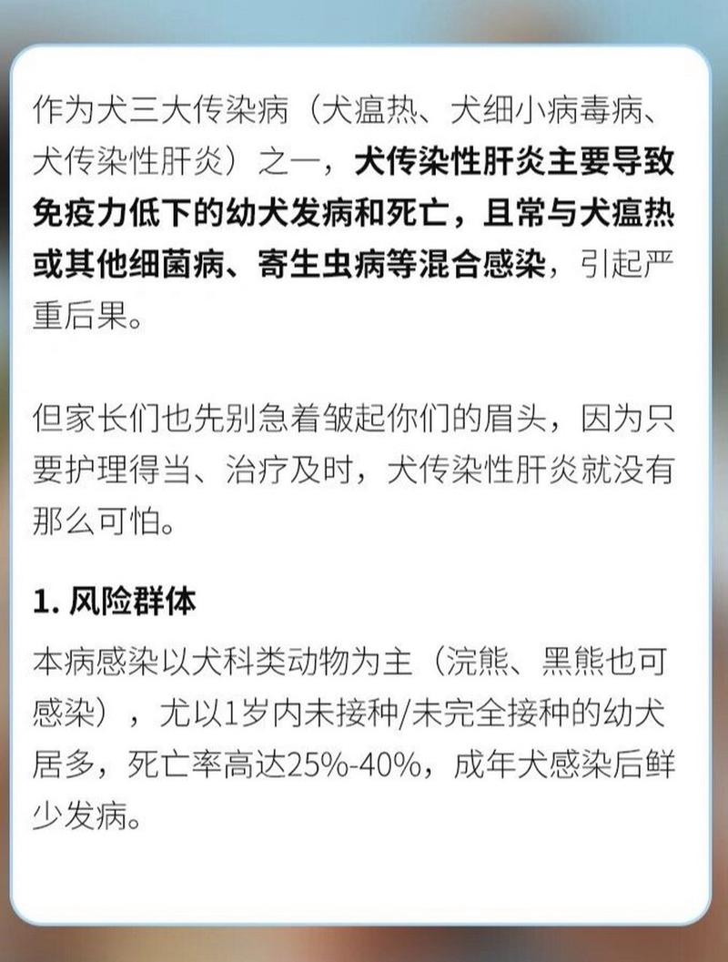 狗狗肝炎怎么治疗_狗狗肝炎怎么办-第1张图片-后鲨宠物