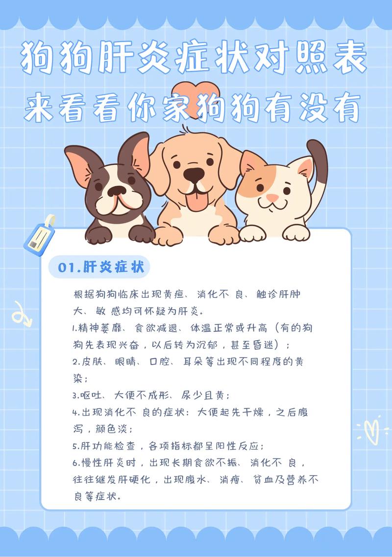 狗狗肝炎怎么治疗_狗狗肝炎怎么办-第3张图片-后鲨宠物