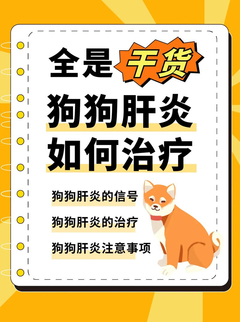 狗狗肝炎怎么治疗_狗狗肝炎怎么办-第4张图片-后鲨宠物