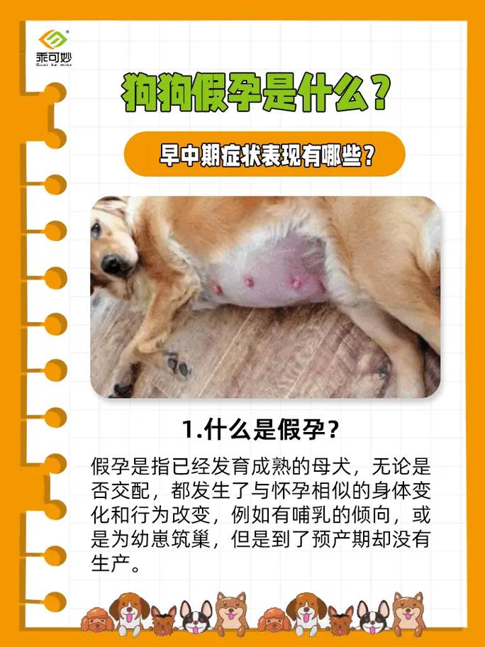 狗狗怀孕什么症状,狗狗怀孕的症状是什么样的-第4张图片-后鲨宠物 狗狗怀孕什么症状,狗狗怀孕的症状是什么样的-第4张图片-后鲨宠物