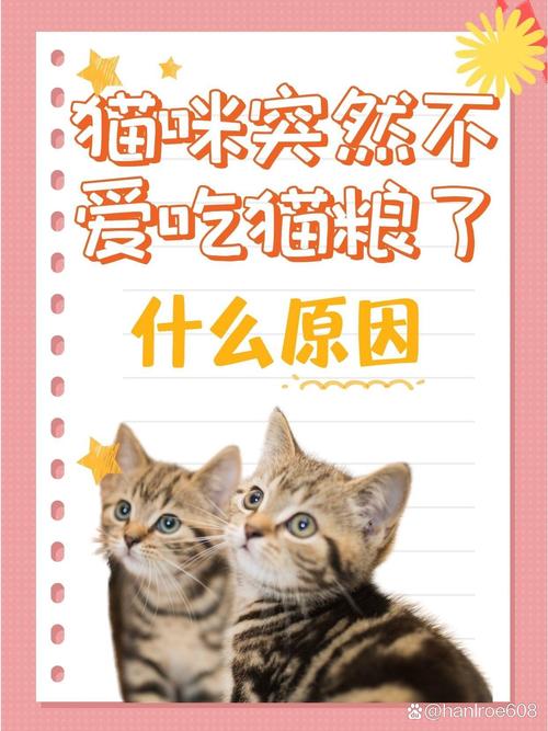 猫咪不吃猫粮怎么办_猫咪不吃猫粮怎么办 小-第3张图片-后鲨宠物 猫咪不吃猫粮怎么办_猫咪不吃猫粮怎么办 小-第3张图片-后鲨宠物