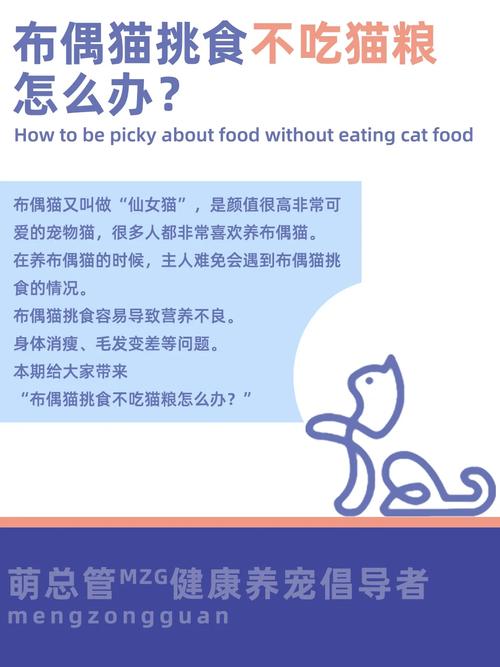 猫咪不吃猫粮怎么办_猫咪不吃猫粮怎么办 小-第6张图片-后鲨宠物 猫咪不吃猫粮怎么办_猫咪不吃猫粮怎么办 小-第6张图片-后鲨宠物