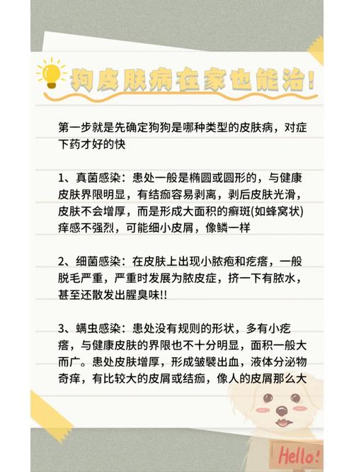 狗狗皮肤病多久能好,狗狗皮肤病多长时间能好?-第3张图片-后鲨宠物 狗狗皮肤病多久能好,狗狗皮肤病多长时间能好?-第3张图片-后鲨宠物