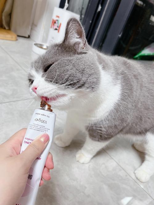 猫咪多大可以吃化毛膏,猫咪多大的时候可以吃化毛膏?-第5张图片-后鲨宠物 猫咪多大可以吃化毛膏,猫咪多大的时候可以吃化毛膏?-第5张图片-后鲨宠物