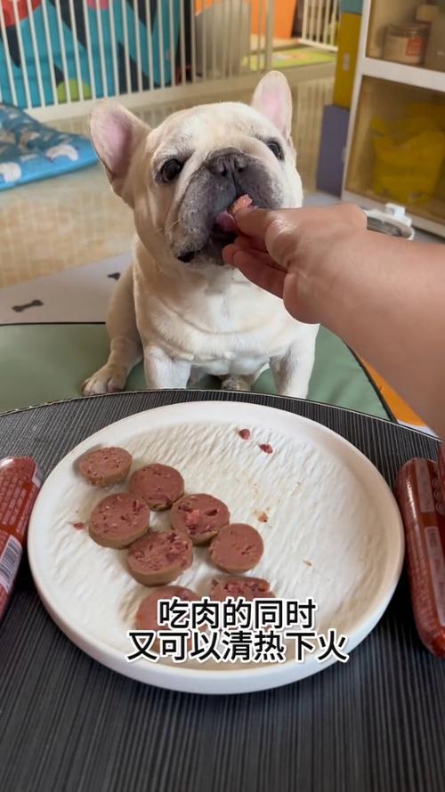 狗狗可以吃香肠吗,狗狗可以吃香肠吗为什么-第2张图片-后鲨宠物 狗狗可以吃香肠吗,狗狗可以吃香肠吗为什么-第2张图片-后鲨宠物