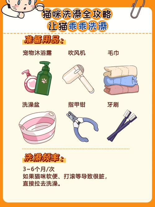 怎样让猫咪乖乖洗澡，怎样让猫咪乖乖洗澡呢？-第1张图片-后鲨宠物