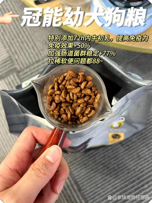 小狗狗几个月可以吃干狗粮,小狗几个月能吃干狗粮-第4张图片-后鲨宠物 小狗狗几个月可以吃干狗粮,小狗几个月能吃干狗粮-第4张图片-后鲨宠物