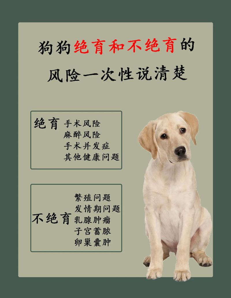 狗狗绝育到底好不好,狗狗绝育到底好不好?史上最客观详实讲解?-第2张图片-后鲨宠物 狗狗绝育到底好不好,狗狗绝育到底好不好?史上最客观详实讲解?-第2张图片-后鲨宠物