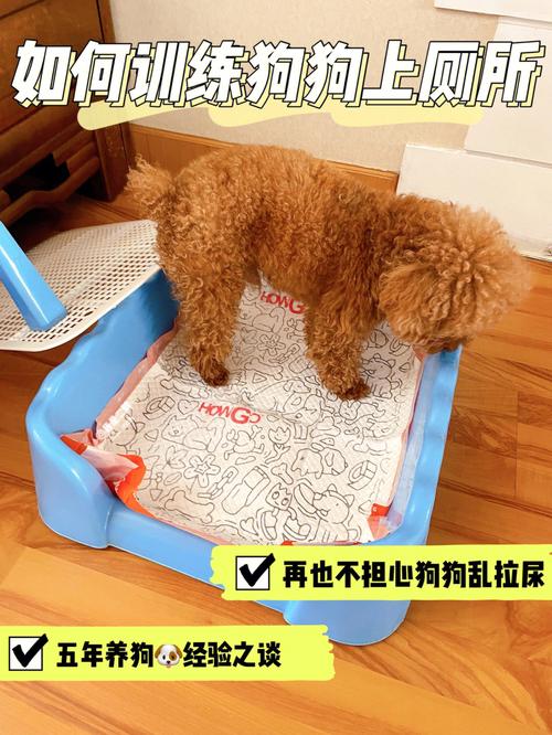 怎么纠正狗狗撕咬尿垫，怎么纠正狗狗撕咬尿垫的行为？