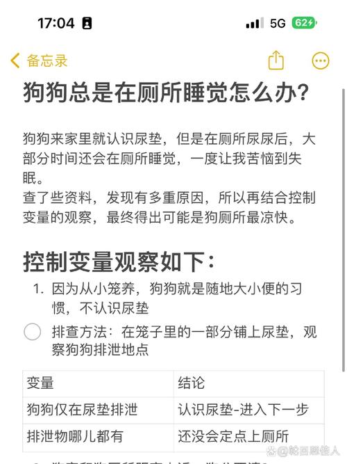 怎么纠正狗狗撕咬尿垫,怎么纠正狗狗撕咬尿垫的行为?-第6张图片-后鲨宠物 怎么纠正狗狗撕咬尿垫,怎么纠正狗狗撕咬尿垫的行为?-第6张图片-后鲨宠物