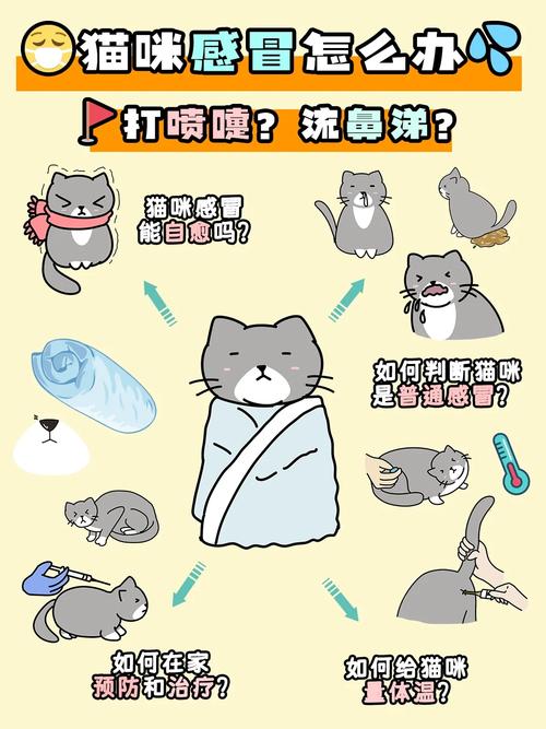 猫咪能喝葡萄糖水吗，猫能不能喝葡萄糖水？-第1张图片-后鲨宠物