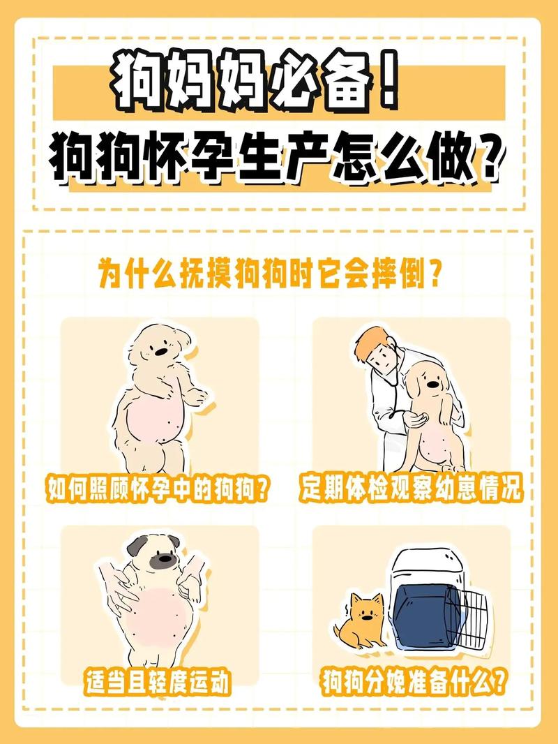 狗狗怀孕需要多久,狗狗怀孕多久生产-第3张图片-后鲨宠物 狗狗怀孕需要多久,狗狗怀孕多久生产-第3张图片-后鲨宠物