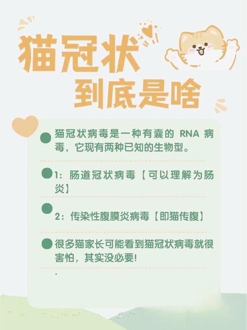 猫咪胆囊炎有哪些症状,猫咪胆囊炎的症状-第6张图片-后鲨宠物 猫咪胆囊炎有哪些症状,猫咪胆囊炎的症状-第6张图片-后鲨宠物