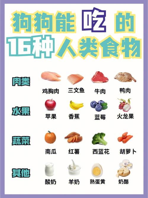 狗狗能吃鱿鱼丝吗_宠物狗可以吃鱿鱼丝吗-第3张图片-后鲨宠物 狗狗能吃鱿鱼丝吗_宠物狗可以吃鱿鱼丝吗-第3张图片-后鲨宠物