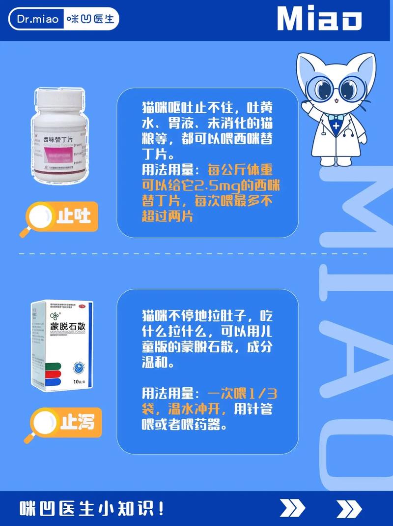 猫咪呕吐吃什么药可以解决,猫咪呕吐吃什么药可以解决不吃东西?-第1张图片-后鲨宠物 猫咪呕吐吃什么药可以解决,猫咪呕吐吃什么药可以解决不吃东西?-第1张图片-后鲨宠物