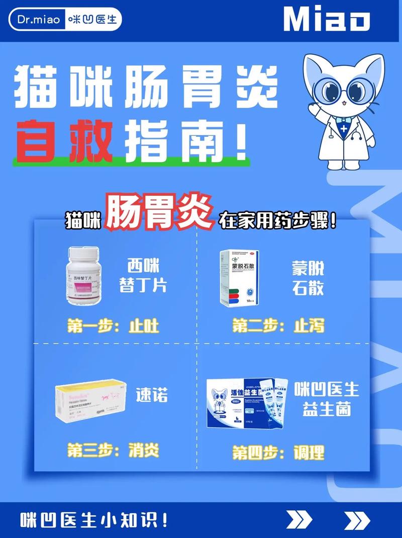 猫咪呕吐吃什么药可以解决,猫咪呕吐吃什么药可以解决不吃东西?-第2张图片-后鲨宠物 猫咪呕吐吃什么药可以解决,猫咪呕吐吃什么药可以解决不吃东西?-第2张图片-后鲨宠物