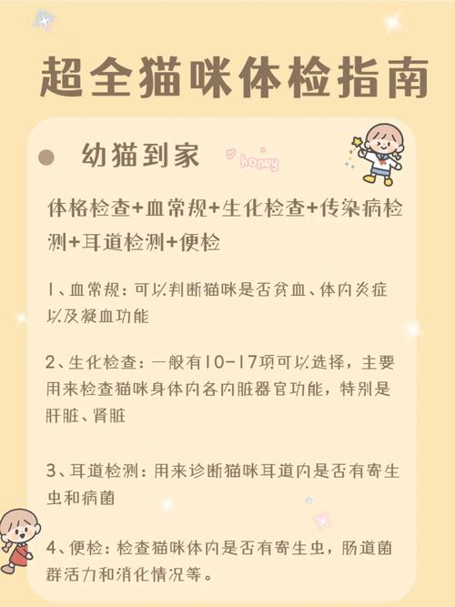 怎么检查猫咪是否健康_怎么检查猫健不健康-第1张图片-后鲨宠物 怎么检查猫咪是否健康_怎么检查猫健不健康-第1张图片-后鲨宠物