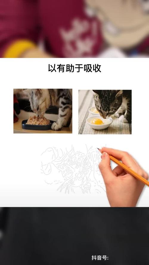 猫咪产后多久可以洗澡_猫咪产后多久可以驱虫-第4张图片-后鲨宠物 猫咪产后多久可以洗澡_猫咪产后多久可以驱虫-第4张图片-后鲨宠物