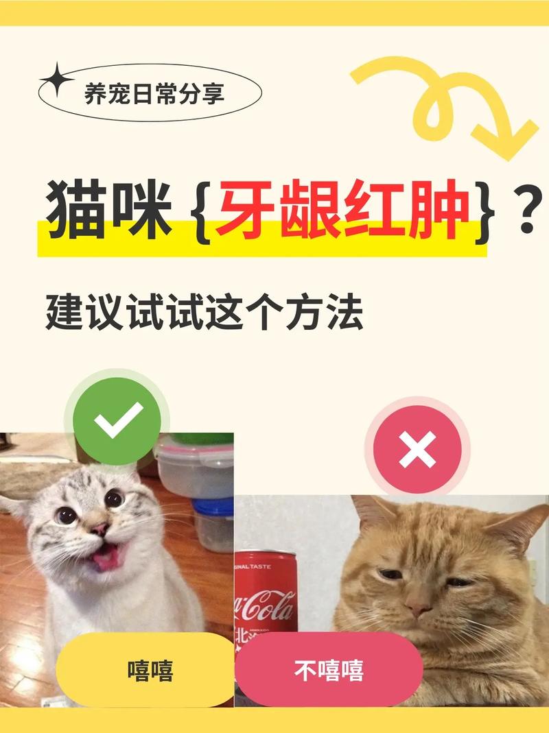 猫咪牙龈红肿怎么办，猫咪牙龈红肿怎么办但能吃？-第3张图片-后鲨宠物