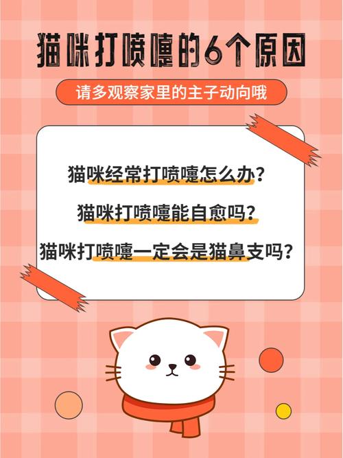 猫咪睡觉打喷嚏，猫咪睡觉打喷嚏流鼻涕？