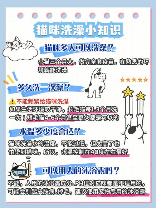 猫咪可以天天洗澡吗,猫咪可以天天洗澡吗为什么-第2张图片-后鲨宠物 猫咪可以天天洗澡吗,猫咪可以天天洗澡吗为什么-第2张图片-后鲨宠物