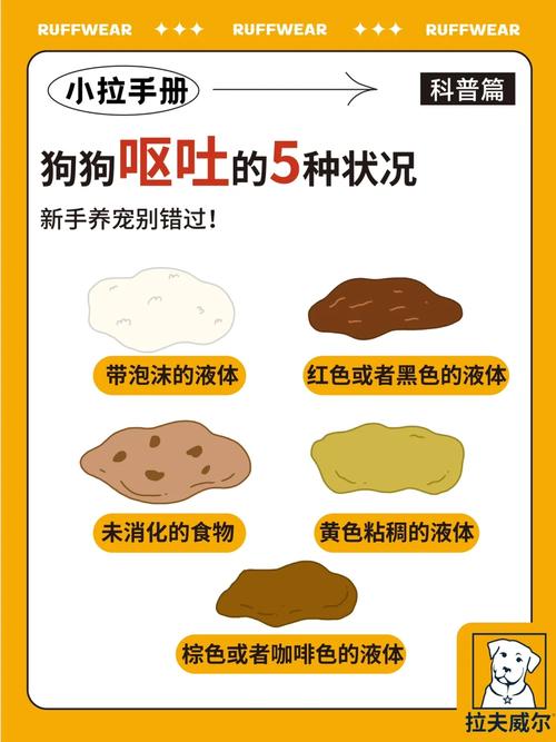 狗狗能吃榴莲核吗,狗能吃榴莲么?-第2张图片-后鲨宠物 狗狗能吃榴莲核吗,狗能吃榴莲么?-第2张图片-后鲨宠物