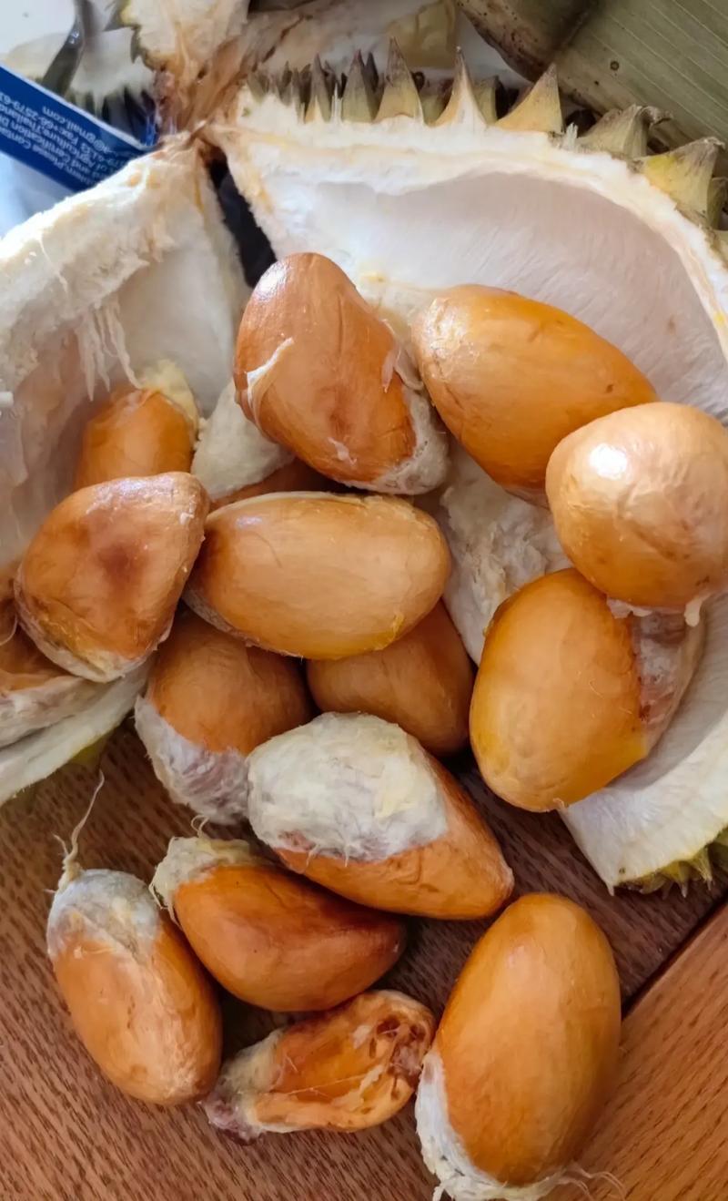 狗狗能吃榴莲核吗,狗能吃榴莲么?-第5张图片-后鲨宠物 狗狗能吃榴莲核吗,狗能吃榴莲么?-第5张图片-后鲨宠物