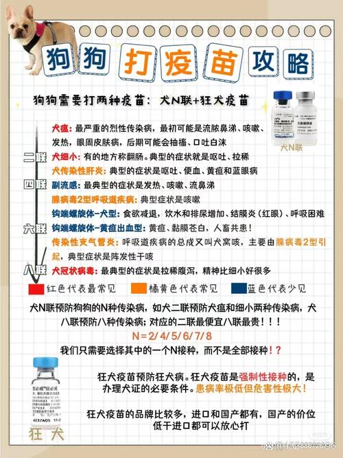 狗狗打退烧针多久见效,狗狗打完退烧针的症状-第4张图片-后鲨宠物 狗狗打退烧针多久见效,狗狗打完退烧针的症状-第4张图片-后鲨宠物