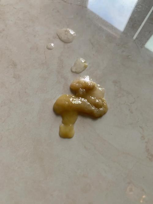 狗狗半夜拉屎怎么办_狗狗半夜拉屎怎么改-第6张图片-后鲨宠物 狗狗半夜拉屎怎么办_狗狗半夜拉屎怎么改-第6张图片-后鲨宠物