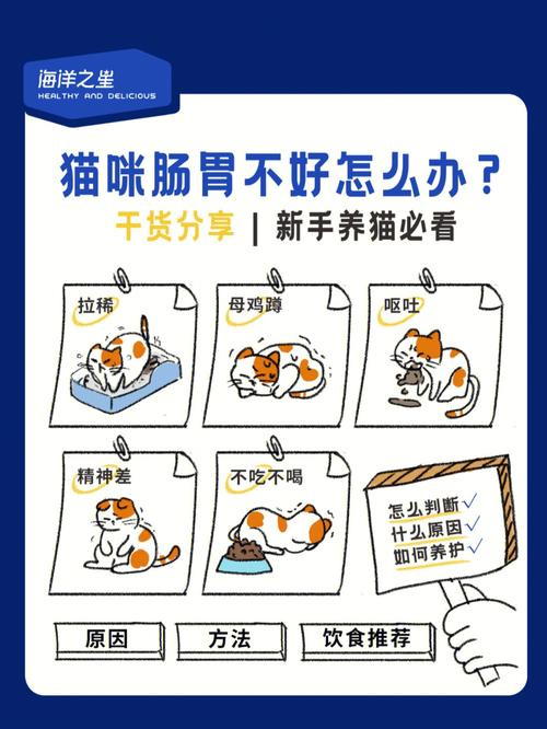 猫咪怎么调理肠胃,猫咪怎么调理肠胃功能?-第6张图片-后鲨宠物 猫咪怎么调理肠胃,猫咪怎么调理肠胃功能?-第6张图片-后鲨宠物