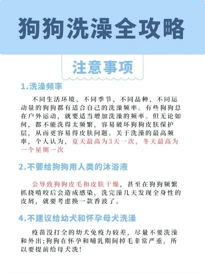 给狗狗洗澡用什么好,给狗狗洗澡用什么好用?-第3张图片-后鲨宠物 给狗狗洗澡用什么好,给狗狗洗澡用什么好用?-第3张图片-后鲨宠物