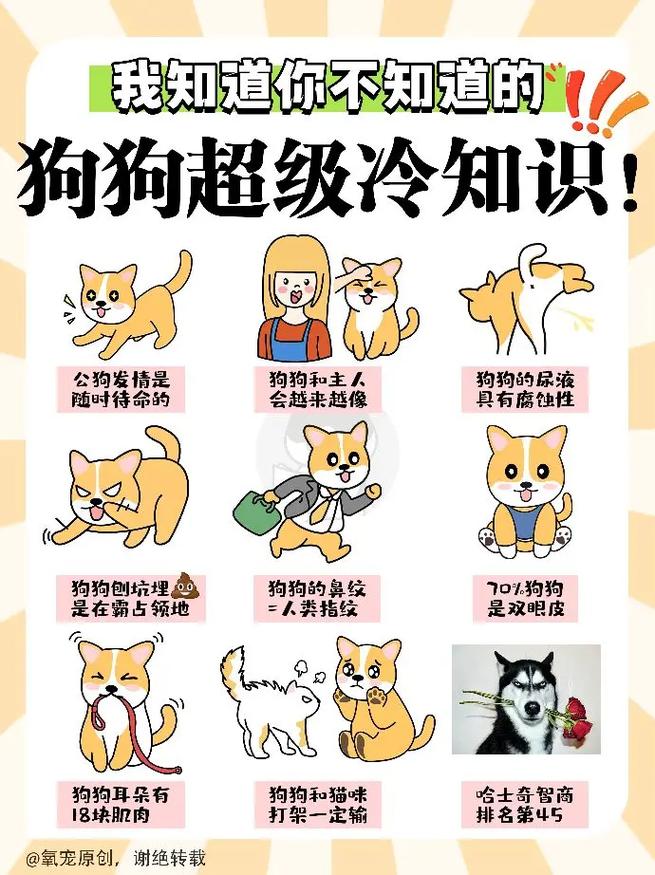 怎么知道狗狗冷不冷,怎么看狗狗冷不冷?-第4张图片-后鲨宠物 怎么知道狗狗冷不冷,怎么看狗狗冷不冷?-第4张图片-后鲨宠物