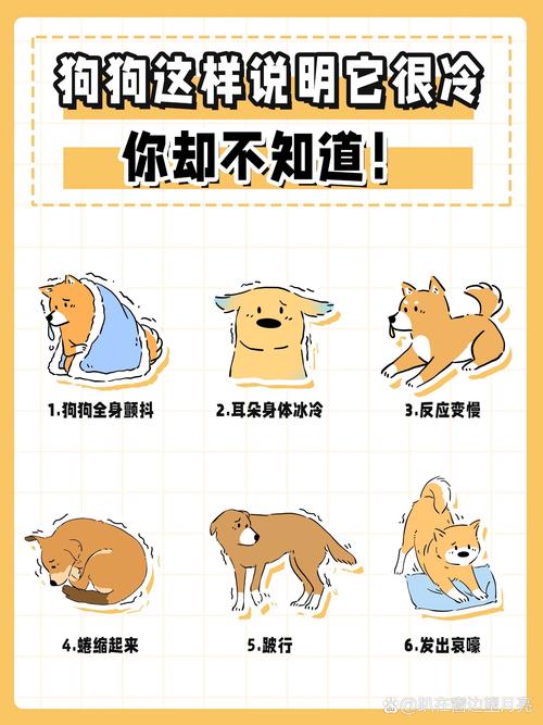 怎么知道狗狗冷不冷,怎么看狗狗冷不冷?-第5张图片-后鲨宠物 怎么知道狗狗冷不冷,怎么看狗狗冷不冷?-第5张图片-后鲨宠物