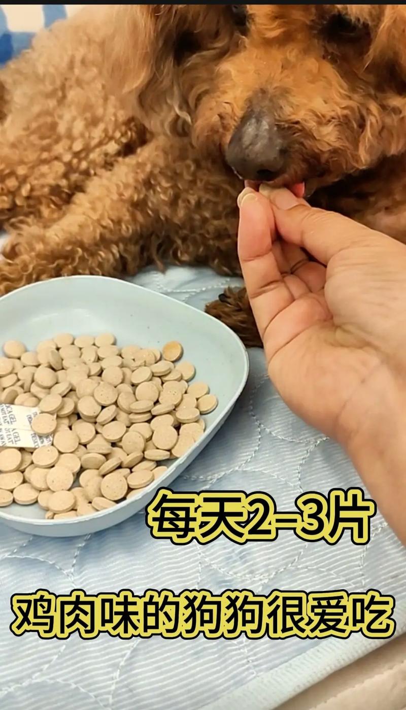 狗狗吃维生素b的作用,狗 吃维生素b?-第6张图片-后鲨宠物 狗狗吃维生素b的作用,狗 吃维生素b?-第6张图片-后鲨宠物